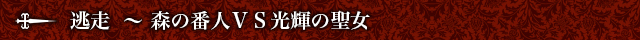 逃走～森の番人ＶＳ光輝の聖女
